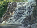 Ithaca Falls 2